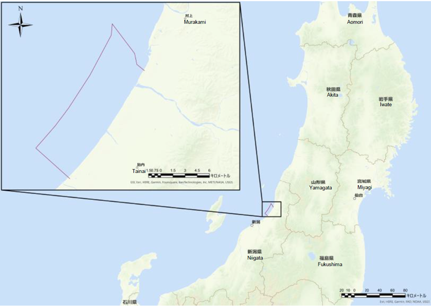 Appointed as Operators of Offshore Wind Project in Sea Areas Offshore Murakami City and Tainai City, Niigata Prefecture