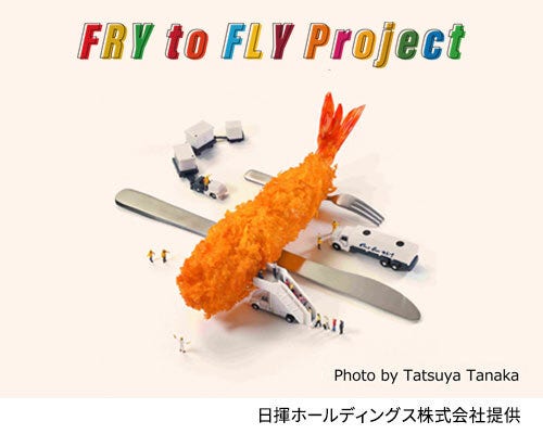 Fry to Fly Project