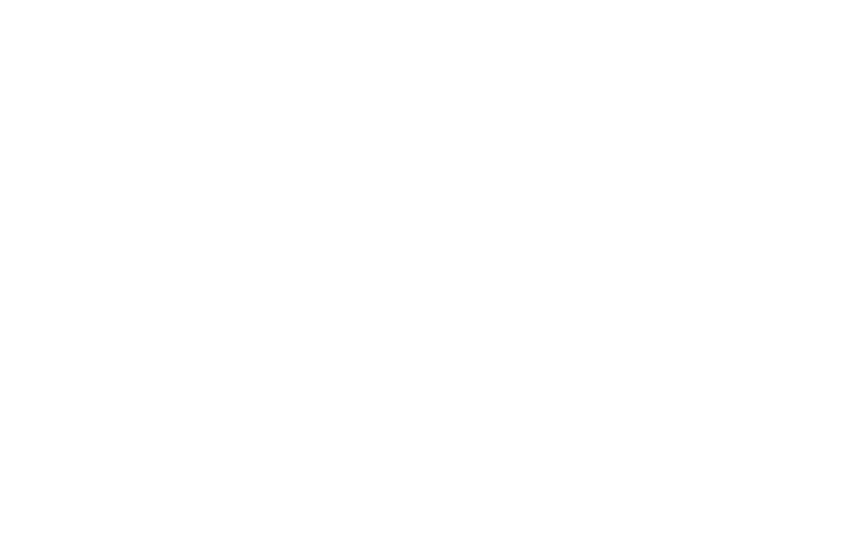 雪解けの季節に たくさんの春植物が咲く 森を歩いている時